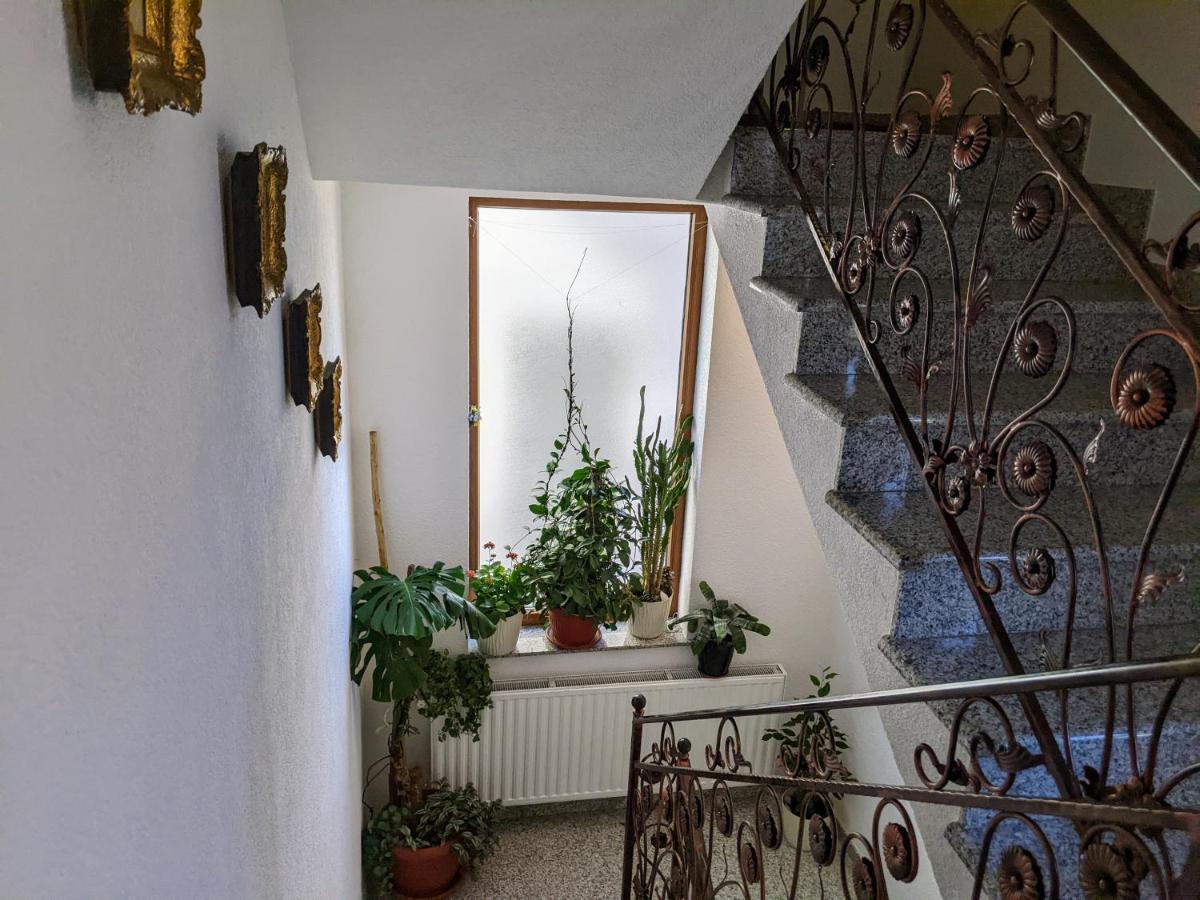 Apartmani Hrastik بيهاتش المظهر الخارجي الصورة