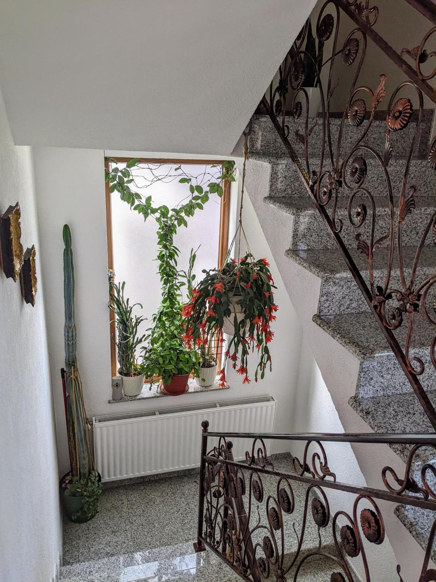 Apartmani Hrastik بيهاتش المظهر الخارجي الصورة