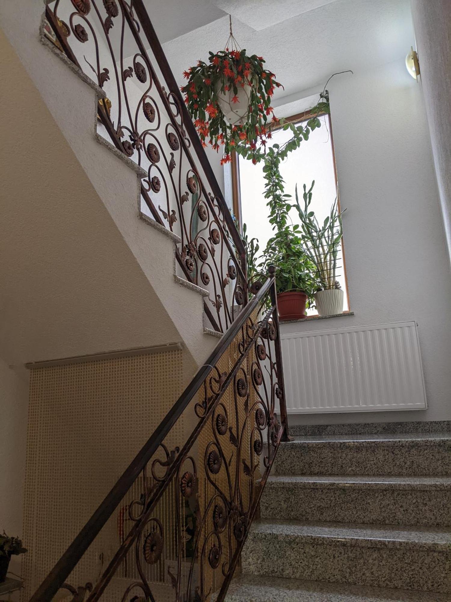 Apartmani Hrastik بيهاتش المظهر الخارجي الصورة