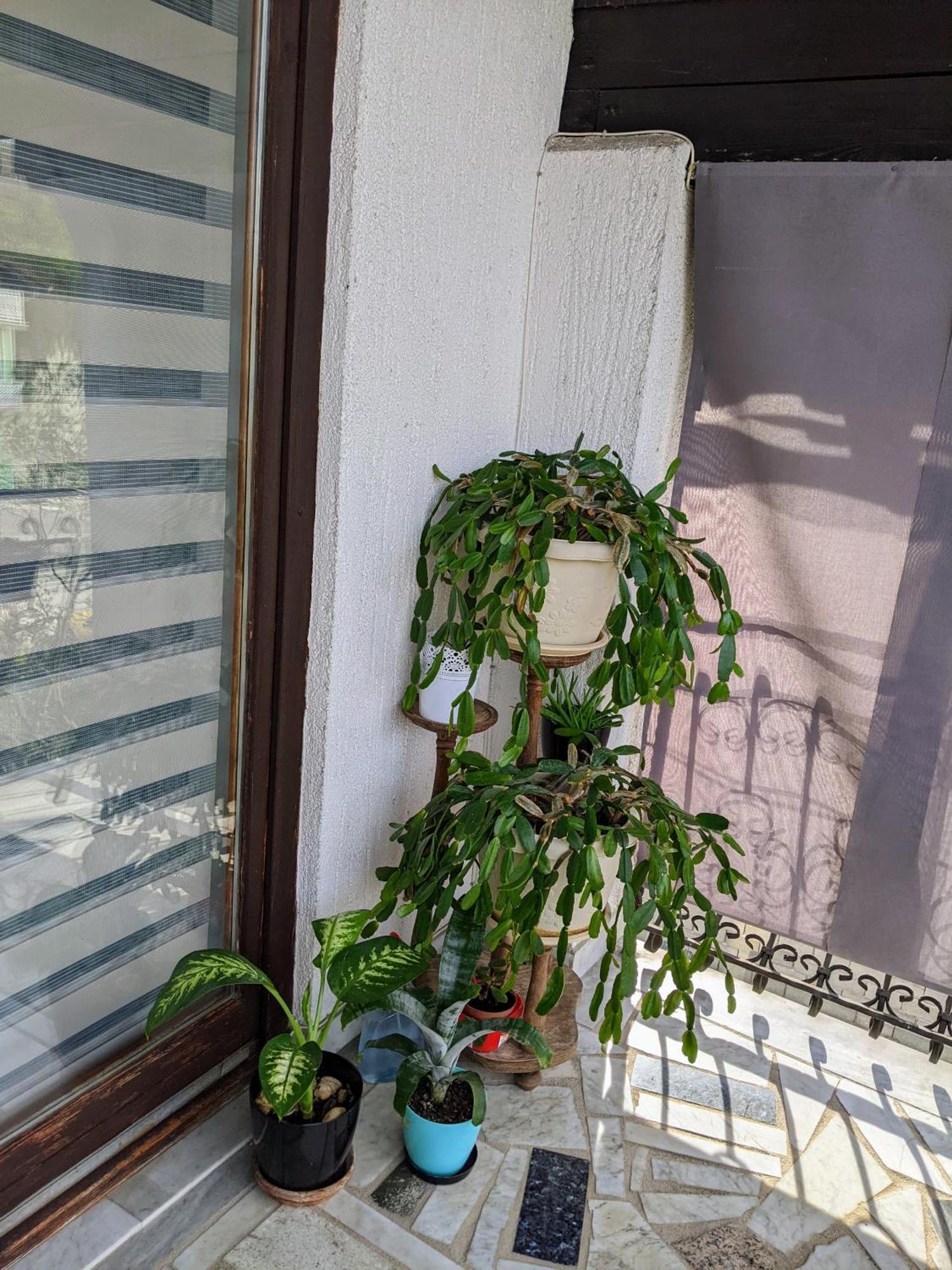 Apartmani Hrastik بيهاتش الغرفة الصورة